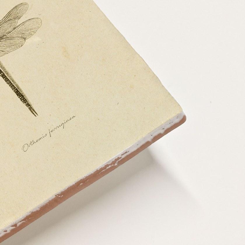 Groovy Magnets Настенный декоративный предмет из керамики Tiles M-tile-dr - Вид №4