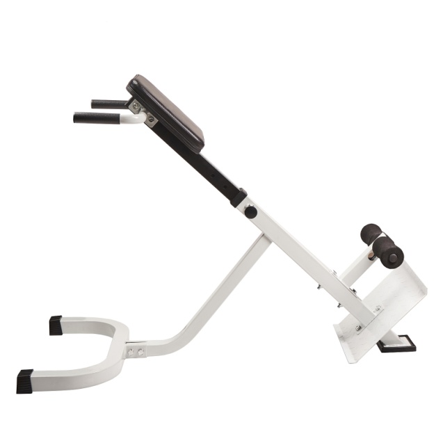 RACK-1518 Royal fitness rack-1518 гиперэкстензия Royal Fitness  - Вид №1