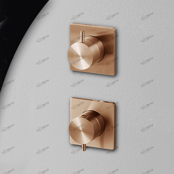 Смеситель для душа сталь матовая Aico Radomonte AIC5R