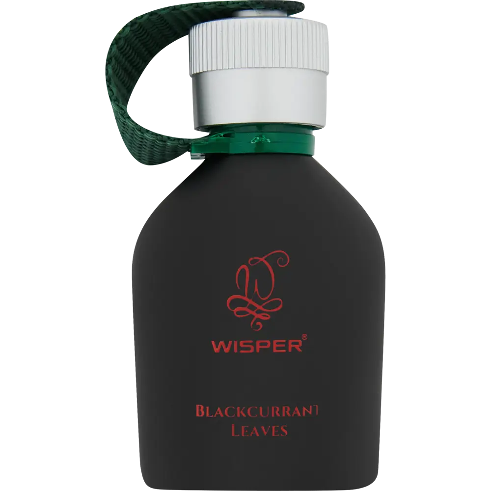 84802361 Ароматизатор Wisper Blackcurrant Leaves STLM-0055348 