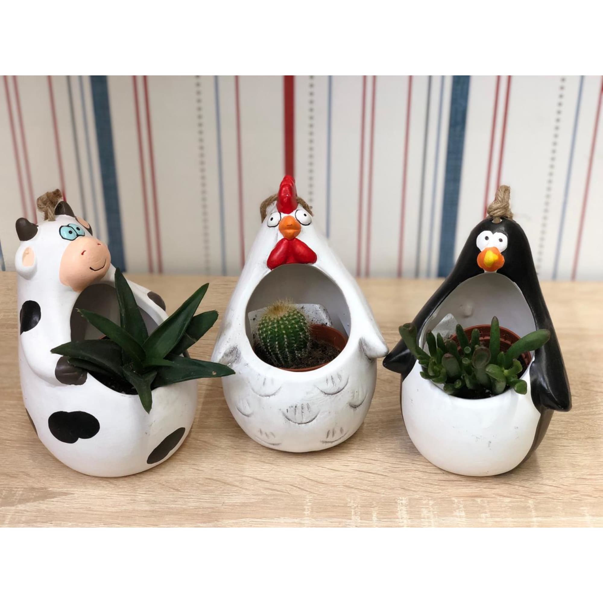 82056883 Кашпо-кактусник 10.5x10x14 см v0.15 л керамика белый Santreyd  - Вид №4