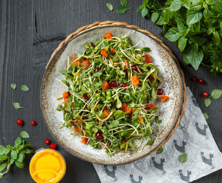 9744 Микс из микрозелени "Фрути Микс" Вкусляндия 