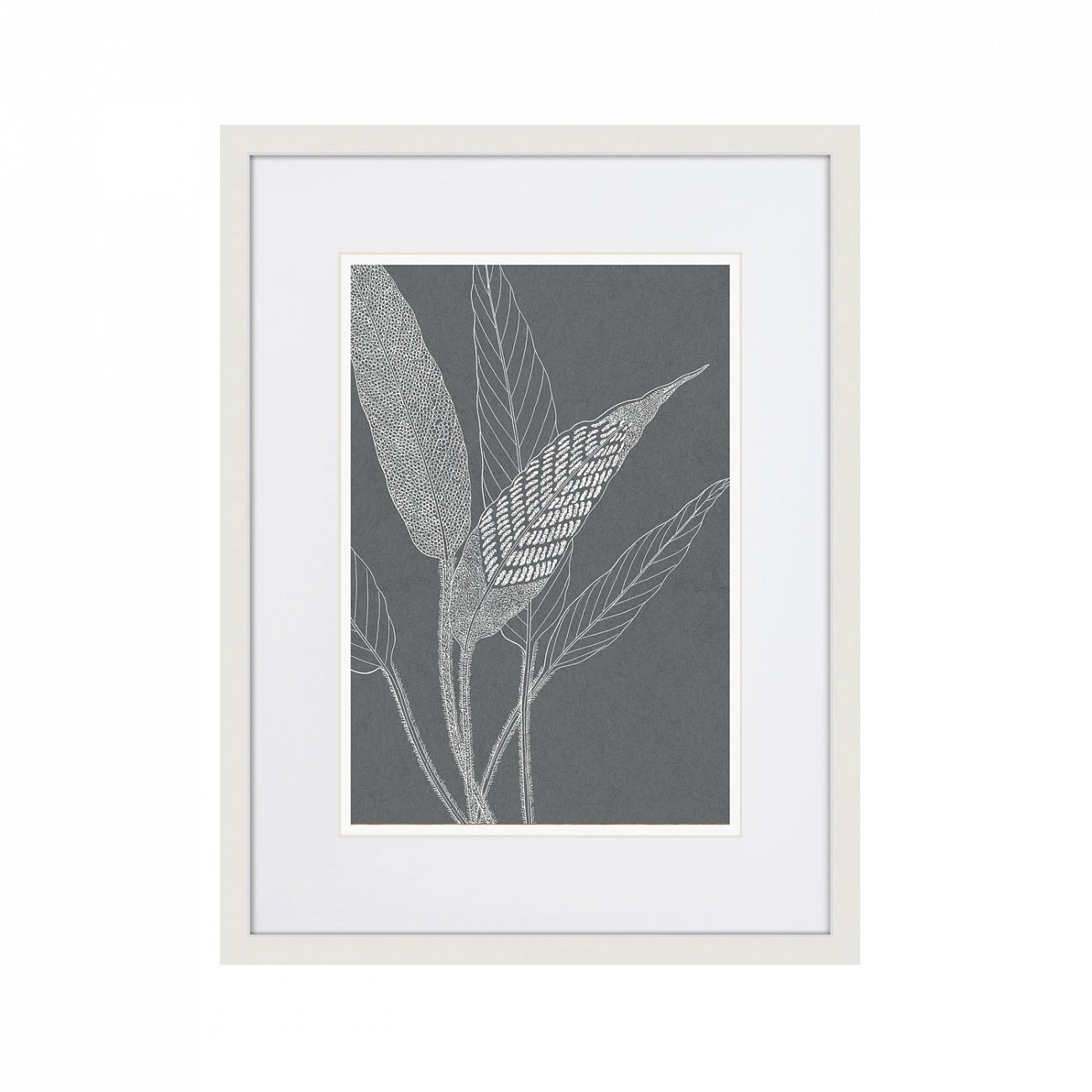 Картина 42х32 см The Fern Collection №32 КАРТИНЫ В КВАРТИРУ  00-3894684 Серый  - Вид №1