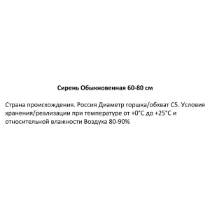 Сирень обыкновенная ø22.5 см h60-80 см 85087647 STLM-2200190