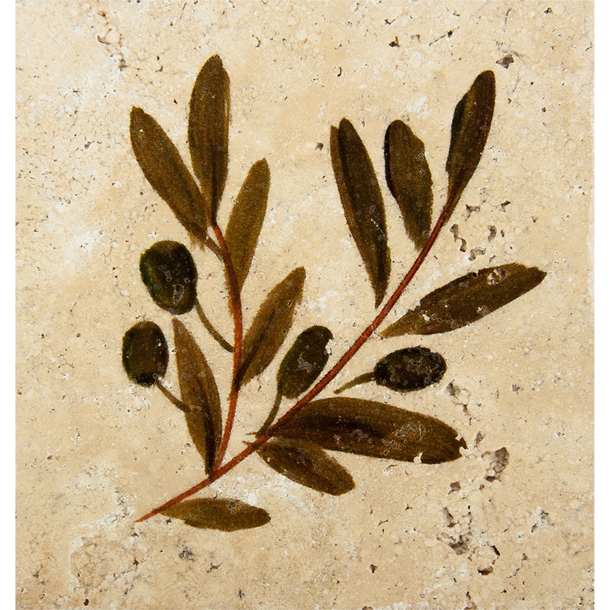 16993393 Декор Provance Оливки 5 10х10 см Травертин Provance Santreyd 