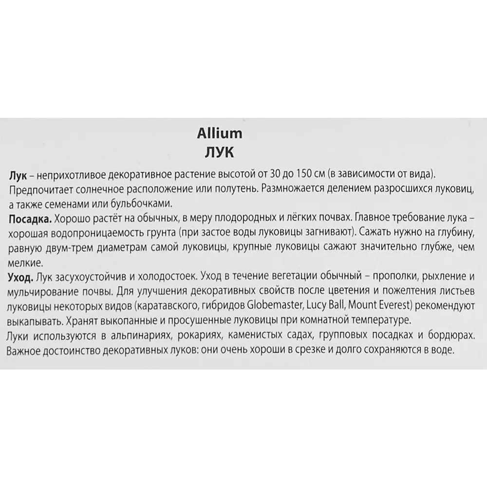 ПОИСК Лук Круглоголовый - декоративные луковицы для солнечного сада 85205647 STLM-1574703 - Вид №2