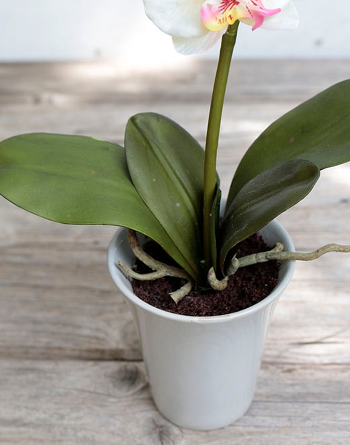 2528 755 a3 Искусственная орхидея Phalaenopsis, горшечная, 40 см, бежево-розовая H-andreas  - Вид №1