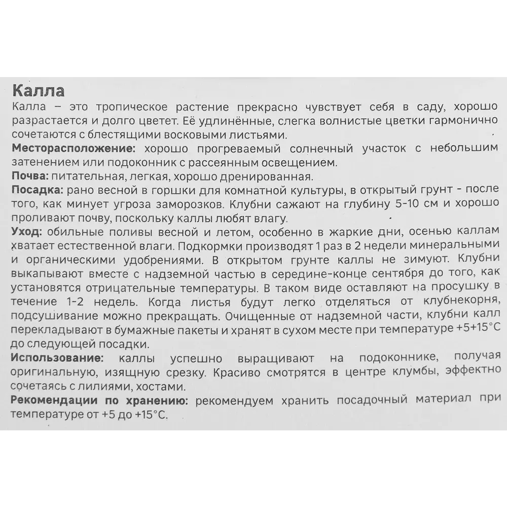 Калла Geolia Белопятнистая 86408668 STLM-2130255  - Вид №2