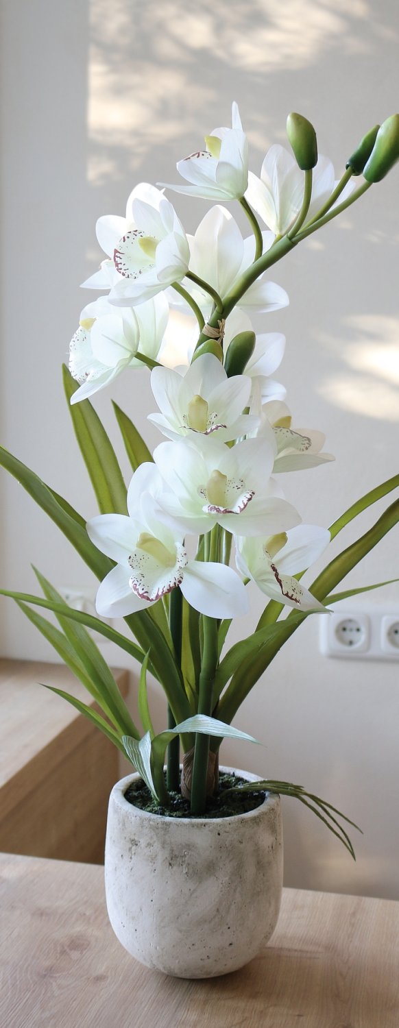 2532 778 a3 Пластиковая орхидея цимбидиум, горшок, 71 см, горшок, real touch soft, бежево-белый H-andreas  - Вид №7
