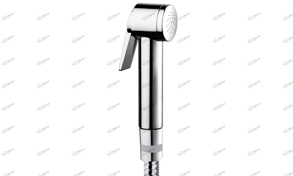 B00463 Душевая лейка PALOMA FLAT LP Ø 34 mm BOSSINI 