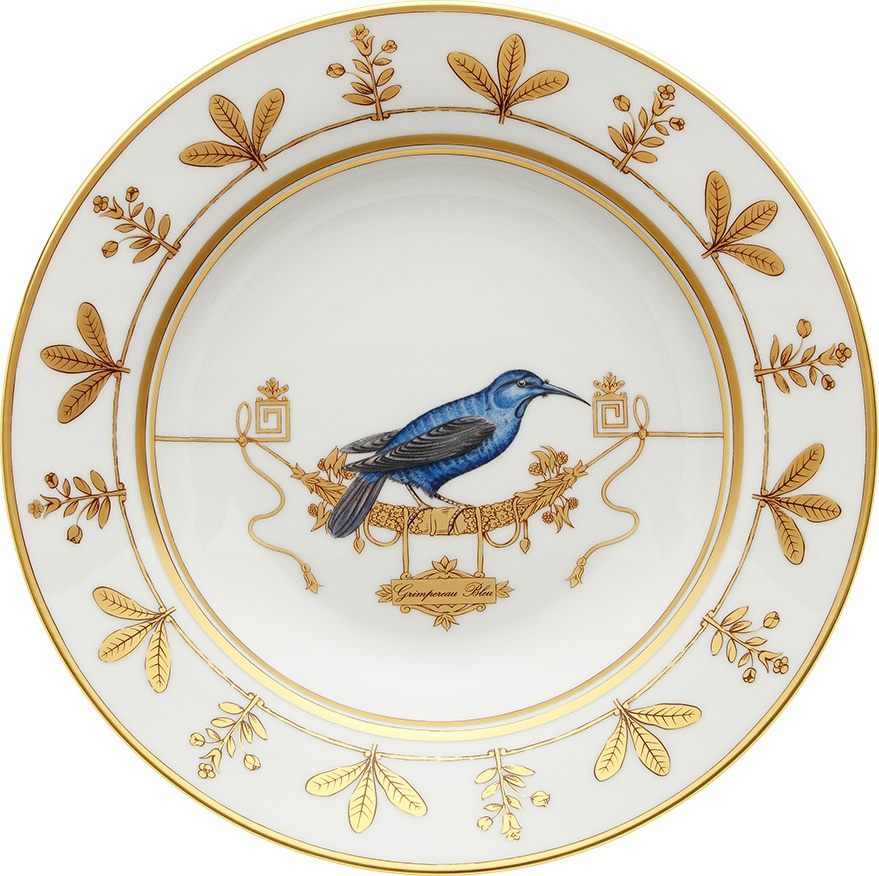 10647802 Richard Ginori Тарелка суповая 24.5 см Фарфор 