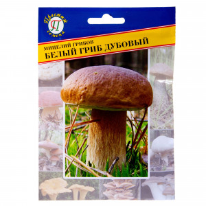 17301731 Семена Гриб белый «Дубовый»