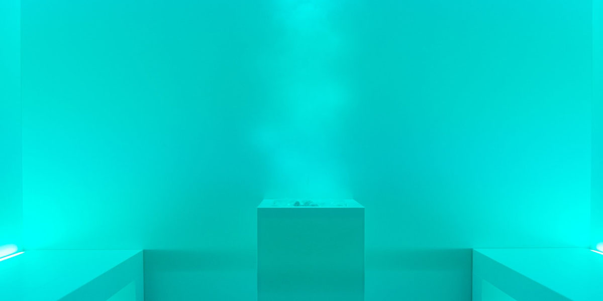 Баня турецкая DREAM 264х192 см DBTN5 CARMENTA - Вид №3