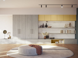 Оборудованная стена / книжный шкаф