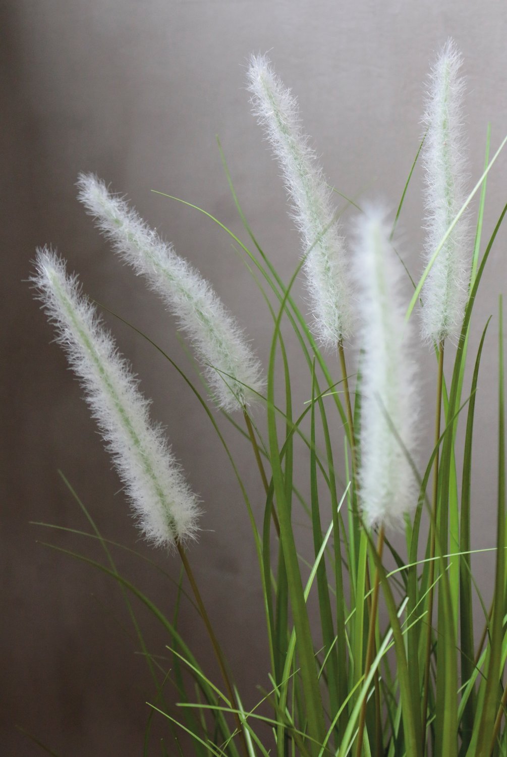 4870 807 a3 Искусственный пучок травы 'Chinese fountain grass', в горшке, 76 см, зелено-белый H-andreas  - Вид №7