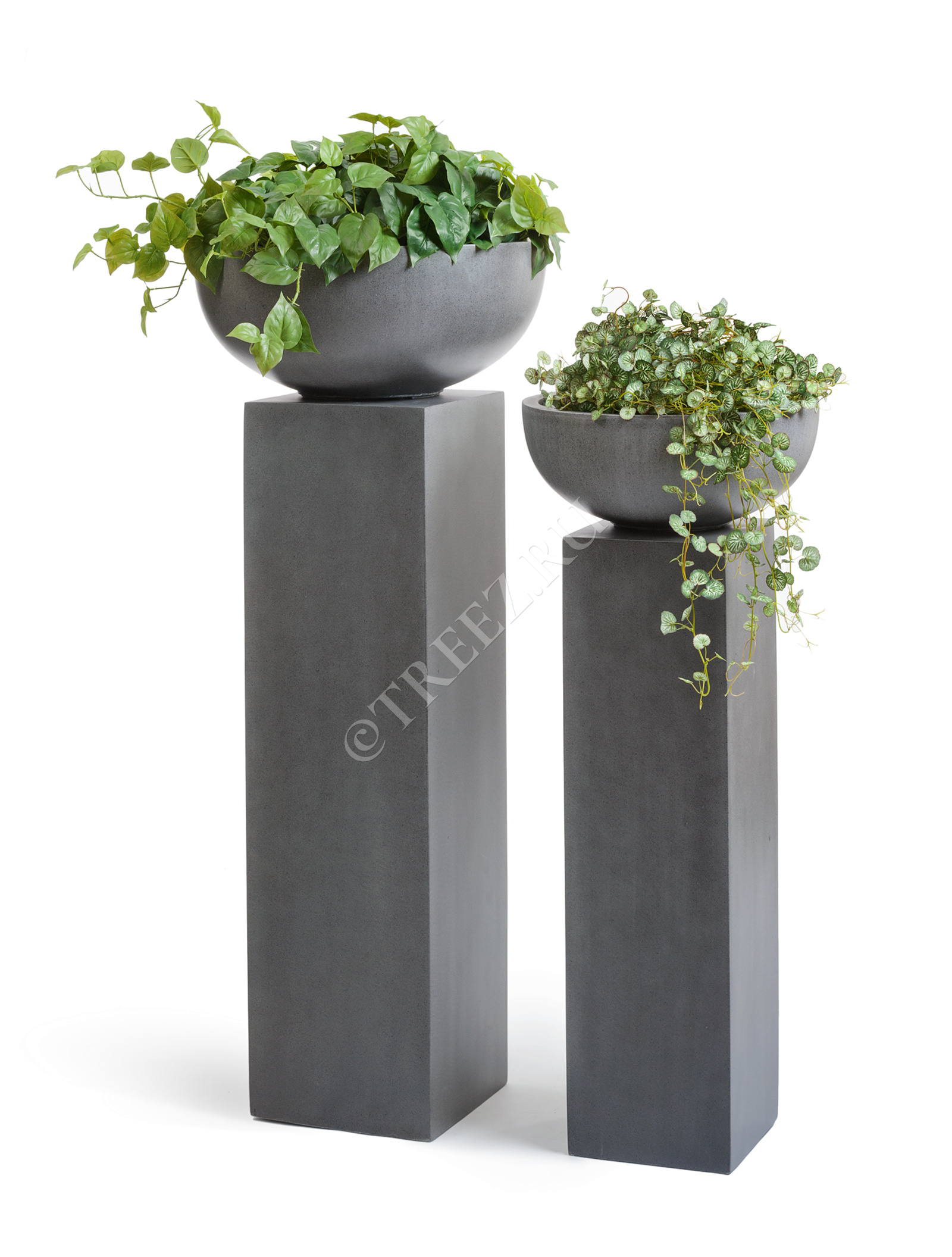 41.3317-02-006-GR-62 Кашпо  Effectory - серия Beton - Низкая чаша - Тёмно-серый бетон Цветочная коллекция  - Вид №5