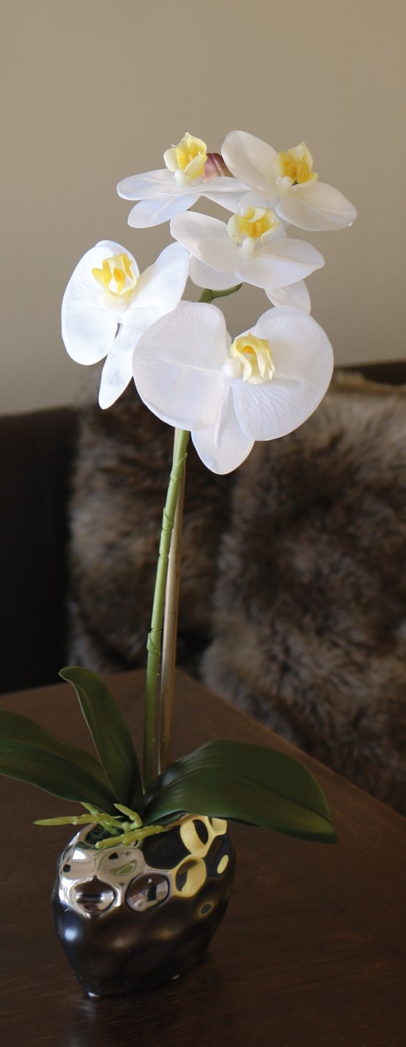 2596 778 a3 Пластиковая орхидея Phalaenopsis, горшечная, 43 см, real touch soft, бежево-белая H-andreas  - Вид №8