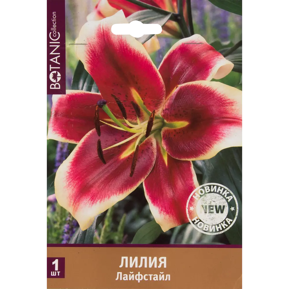 Лилия Лайфстайл 12/14, 1 шт 82539360 STLM-2024165 Santreyd 