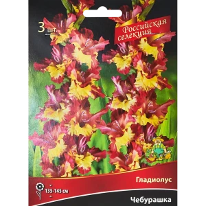 Гладиолус Чебурашка, 3 шт 86410002 STLM-2119259