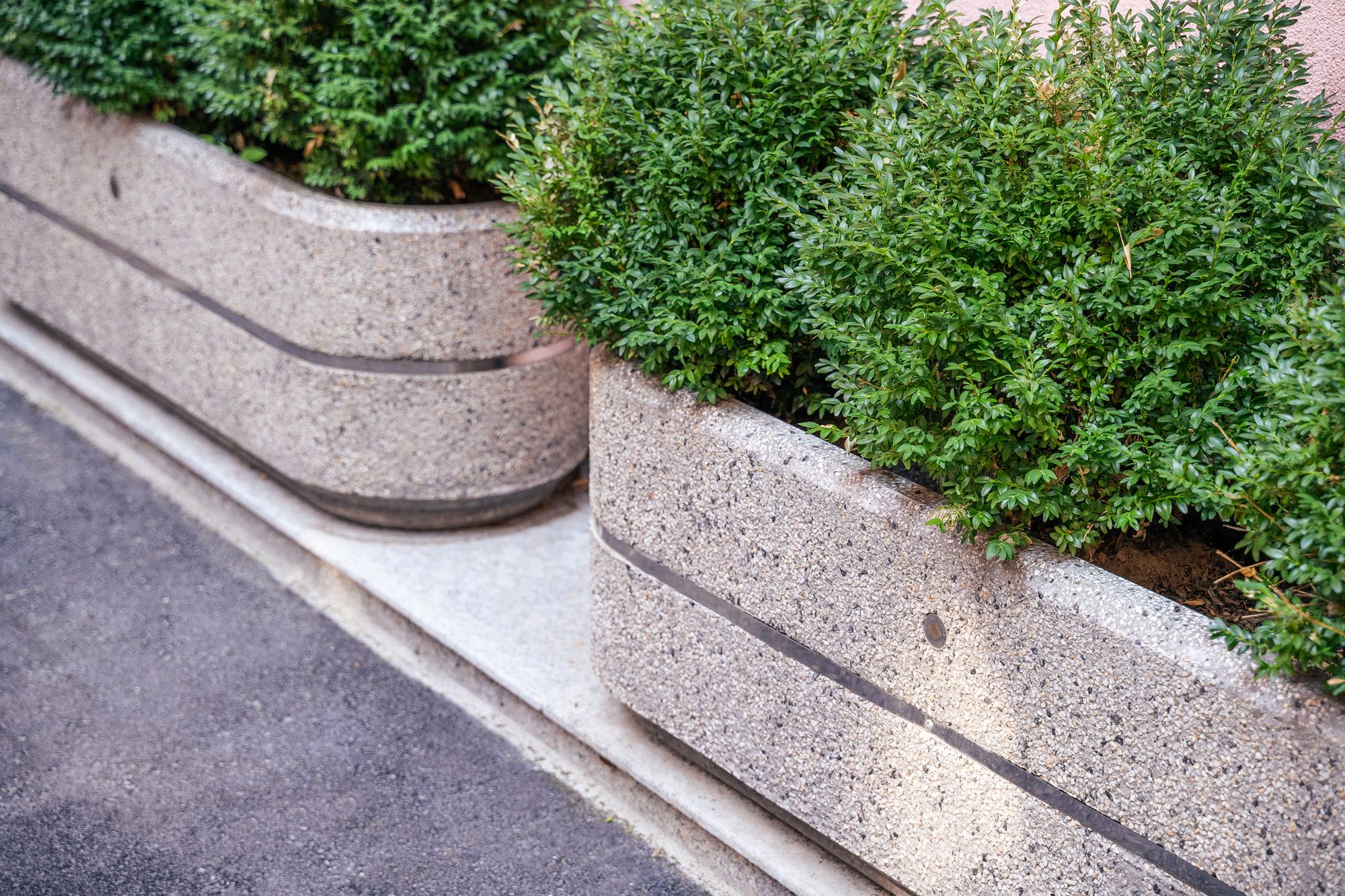 Бетонная плантатор ENCHO ENCHEV - ETE 27 ARCH-00057857 - Вид №6