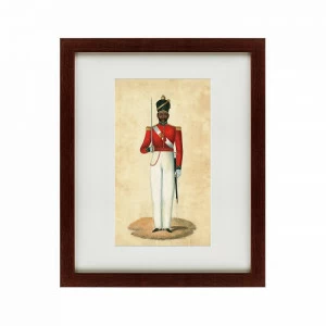 Картина: Colonel Godlieb James Van Someren, Madras Infantry, 1889 КАРТИНЫ В КВАРТИРУ  135626 Разноцветный