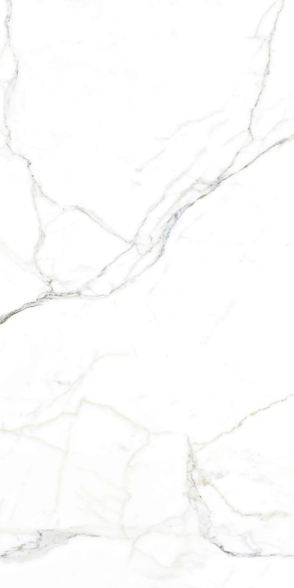 LUCE STATUARIO — Элегантность мрамора в вашем интерьере FP1002-A Arcadia Ceramica - Вид №3