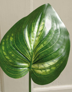 6956 805 a2 Искусственные лилии подорожника, 55см, зелено-розовые H-andreas