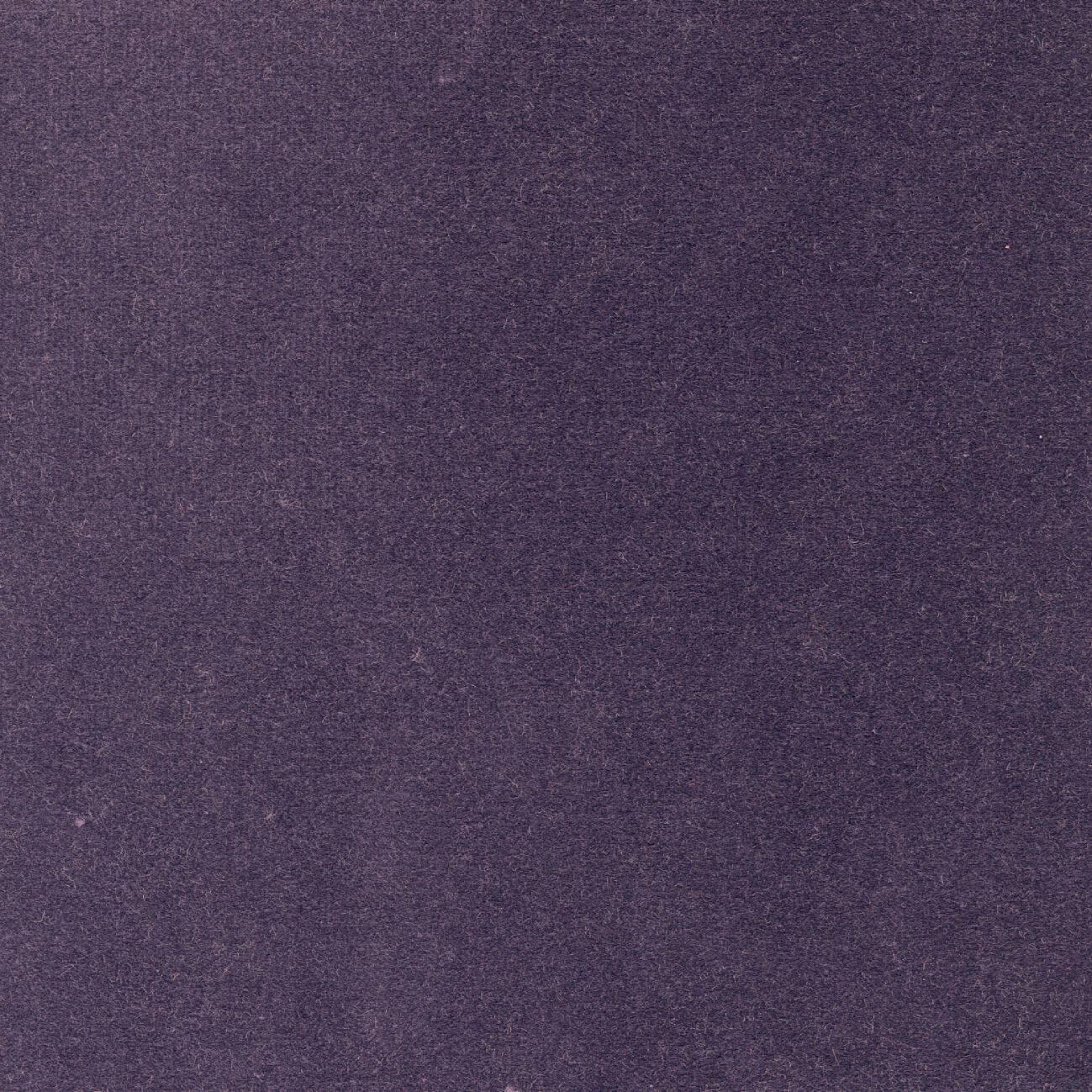 Бархатная однотонная ткань Élitis Palatine ARCH-00143253 - Вид №26