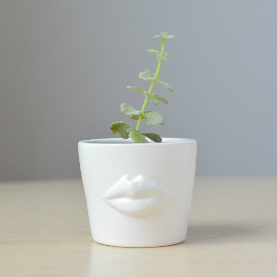 MIN-1-01 Набор для выращивания eco мини-кашпо «губы» Экочеловеки 