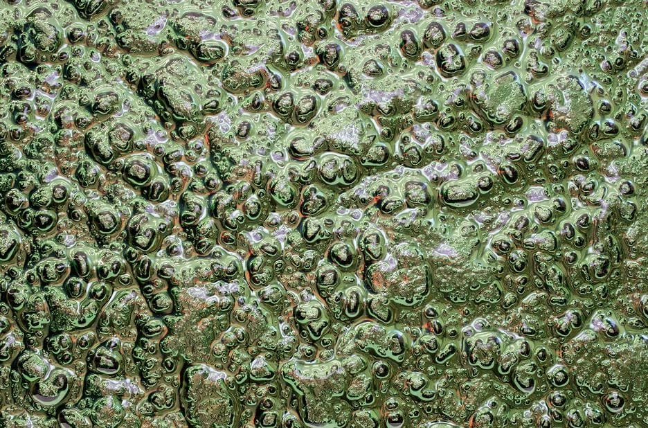 Декоративная стеклянная панель PlusObject GREEN PLANET ARCH-00113126 - Вид №4