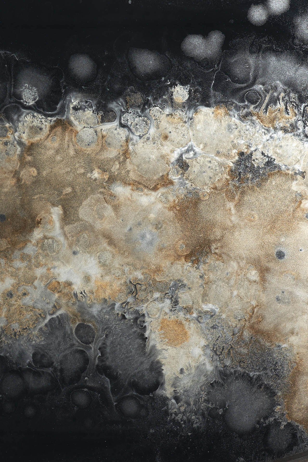 ARCH-00105708 Лоток для хранения яиц Ethnicraft Бельгия  - Вид №3