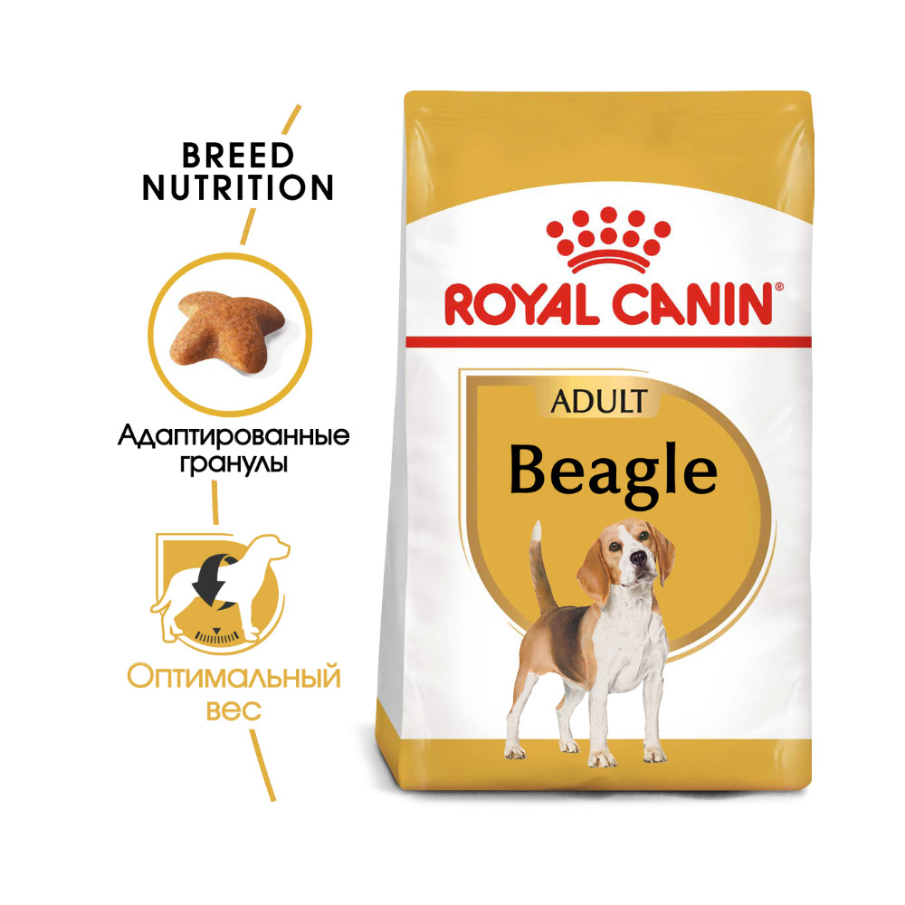 ПР0047706 Корм для собак Beagle для породы Бигль старше 12 месяцев сух. 3кг ROYAL CANIN  - Вид №1