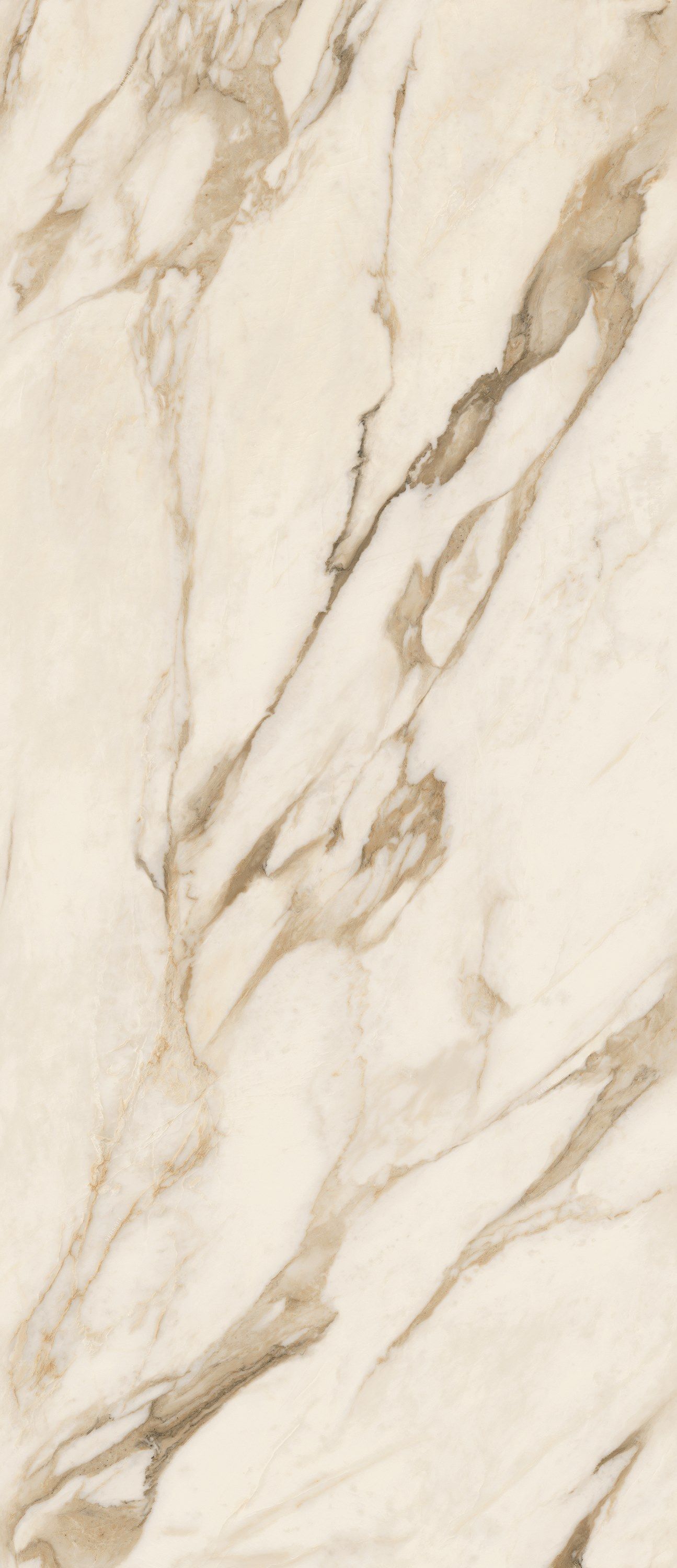 Пол / керамогранит с мраморным эффектом Versace Ceramics Maximvs ARCH-00065418 - Вид №6