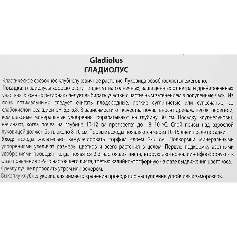 Гладиолус крупноцветковый Блу Тропик, 3 шт. 89351783 STLM-2115767 ПОИСК  - Вид №2