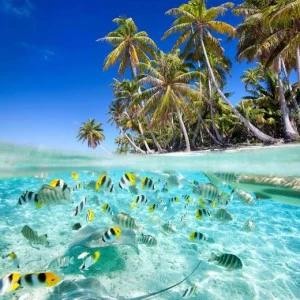 WP00145 Фотообои Verol Фотообои decoline 1х1 м