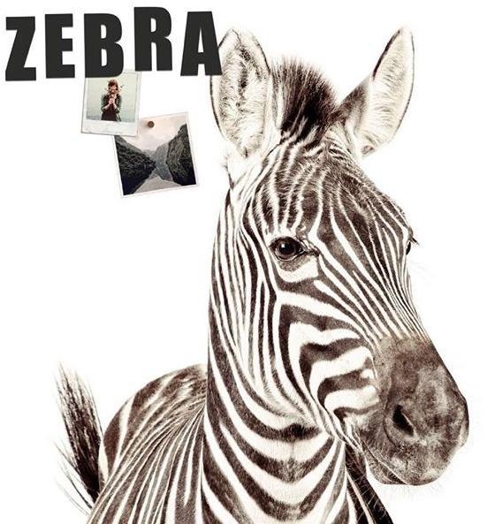 Groovy Magnets Магниты Alphabet sun-id-1353553 - Вид №6