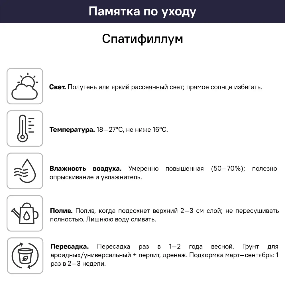 Спатифиллум Верди 17x80 см 14750620 STLM-2140549 Santreyd  - Вид №7