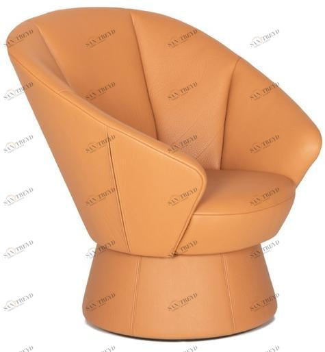 de Sede Поворотное кожаное кресло с подлокотниками Ds-163 sun-id-1452684