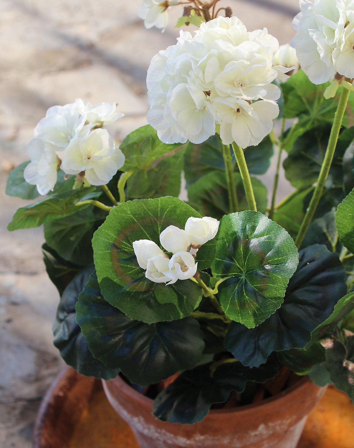 3198 777 a3 Искусственный куст герани, 38 см, белый H-andreas 