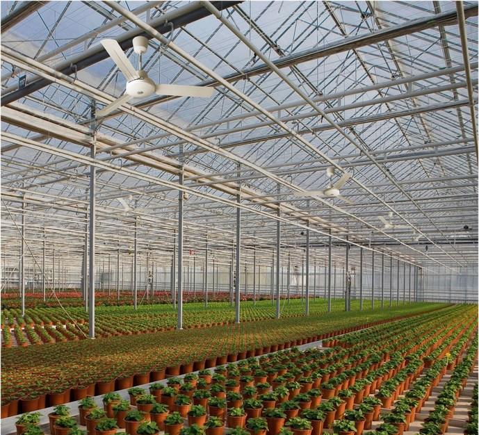 Vortice Потолочный вентилятор Nordik international plus 61742 - Вид №2