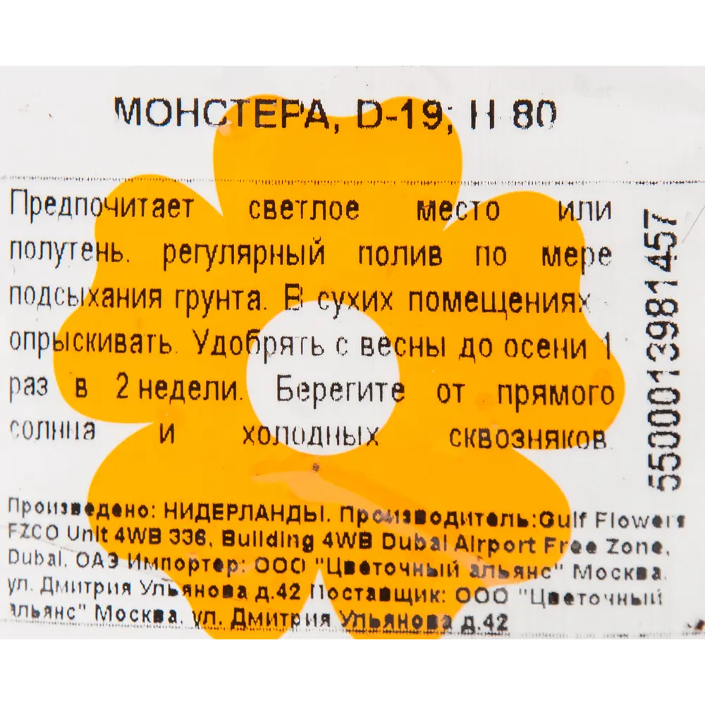 Монстера 19x80 см 82850370 STLM-2179808 Santreyd  - Вид №2