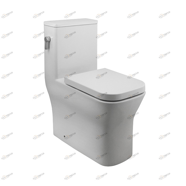 100239081 Компакт унитаз с бачком Белый Noken  Испания 