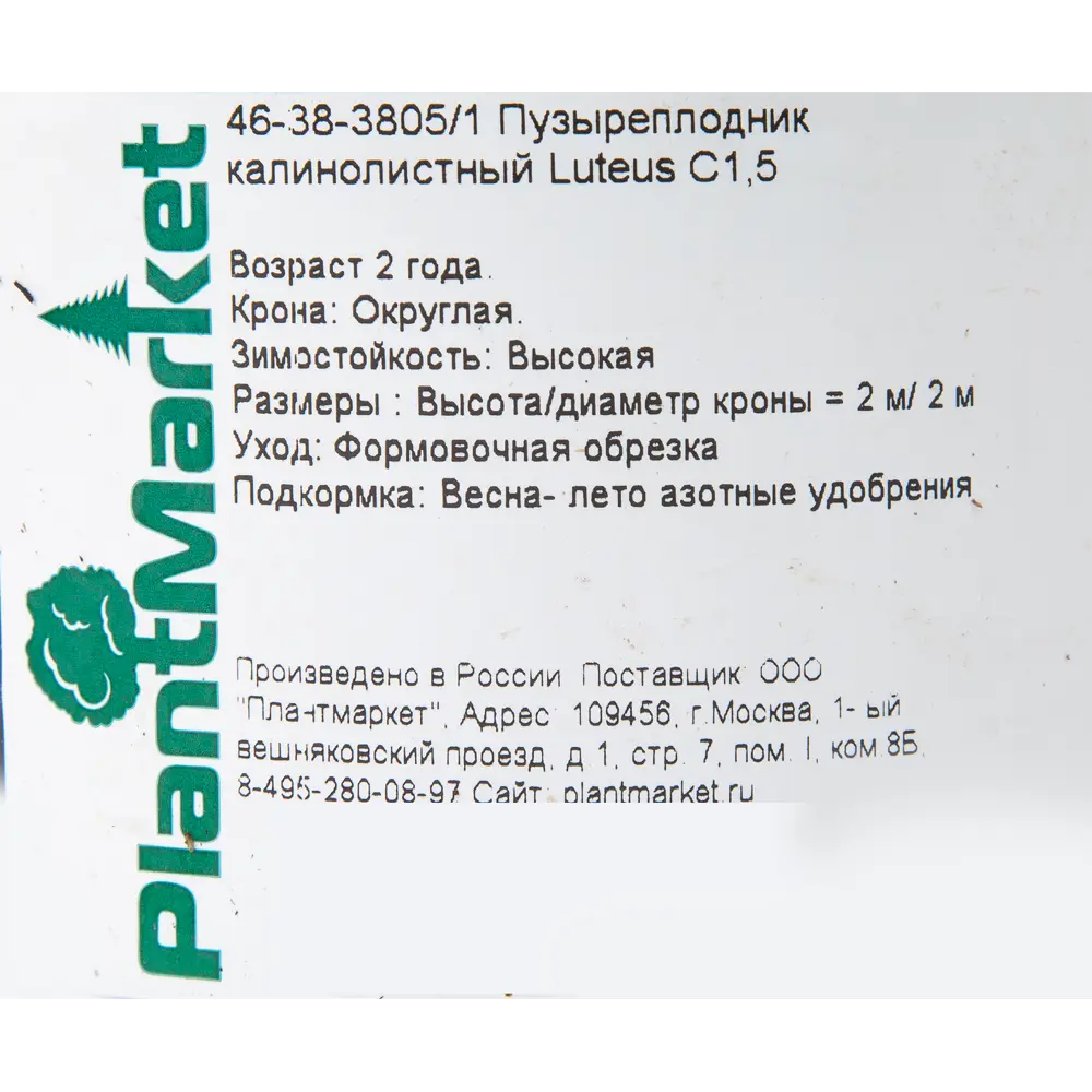 Пузыреплодник калинолистный «Лютеус» C1.5 82174050 STLM-2198331 PLANTMARKET  - Вид №1
