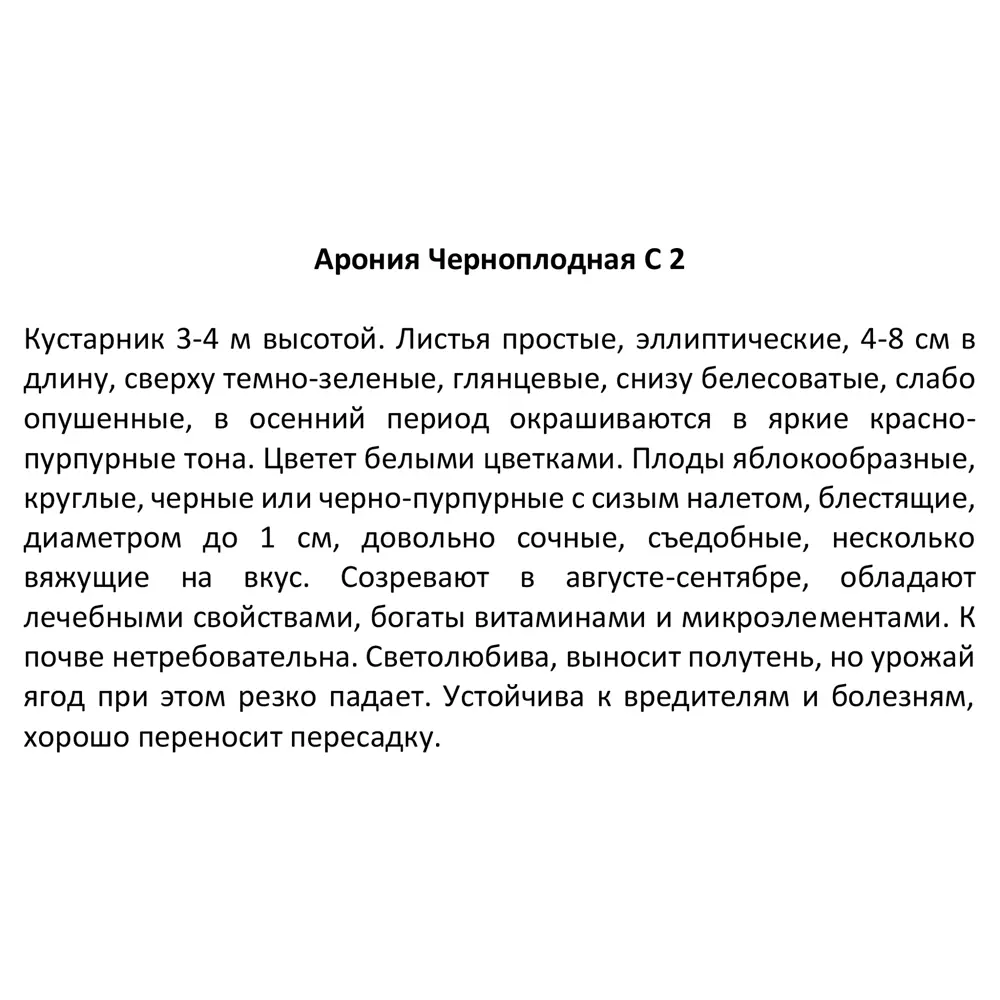 Саженец аронии черноплодной Santreyd в контейнере 2-3 л 81968692 STLM-0016057 - Вид №2