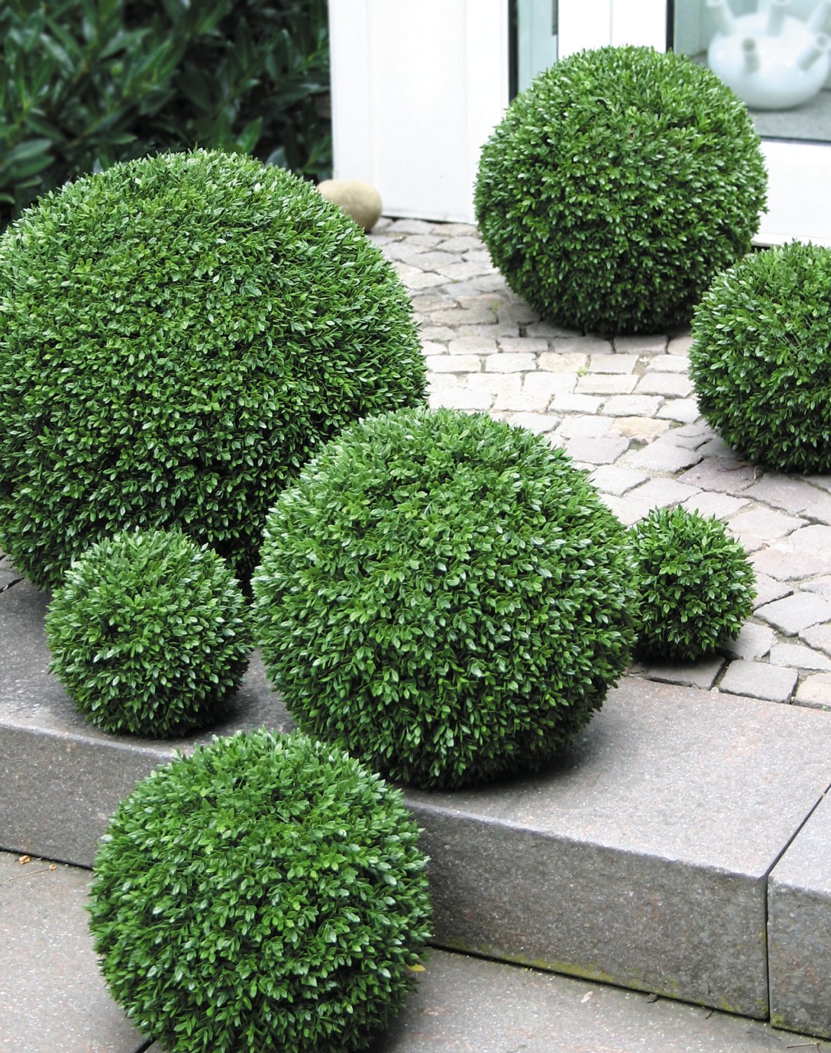 4977 883 a3 Мяч из искусственного самшита, синтетический материал, Ø 50 см, зеленый H-andreas  - Вид №3