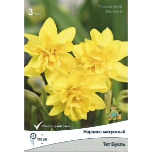 Нарцисс махровый Тет Букль 3 шт. 89381241 STLM-2211351