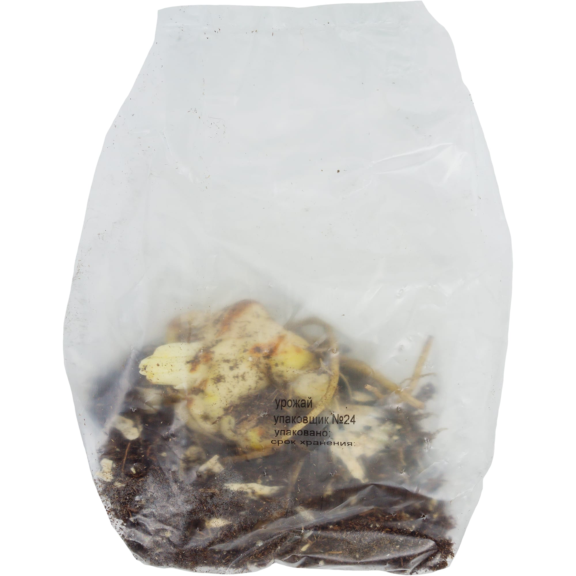 82118711 Лилии ЛА гибриды «Брайт Даймонд», размер луковицы 14/16, 1 шт Santreyd  - Вид №1