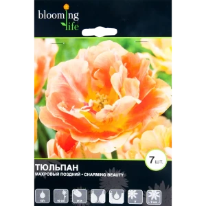 Тюльпан Чарминг Бьюти 12/+, 7 шт 17977432 STLM-2204208