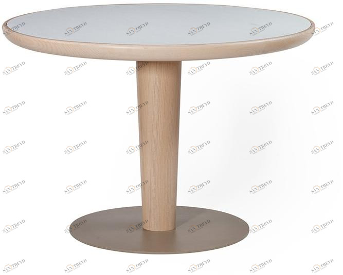 Anesis Круглый стол  Ct4 