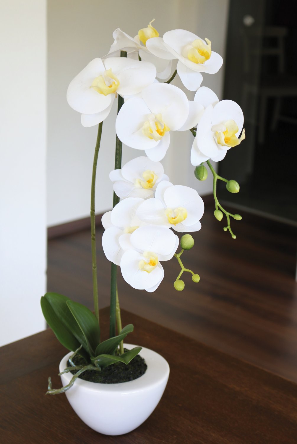 2606 778 a3 Искусственная орхидея Phalaenopsis, 55см, в горшке, real touch soft, кремово-белая H-andreas  - Вид №5